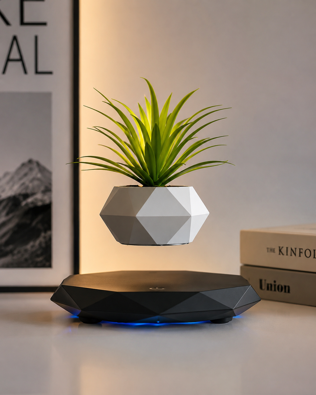 Magnetic Levitating Planter