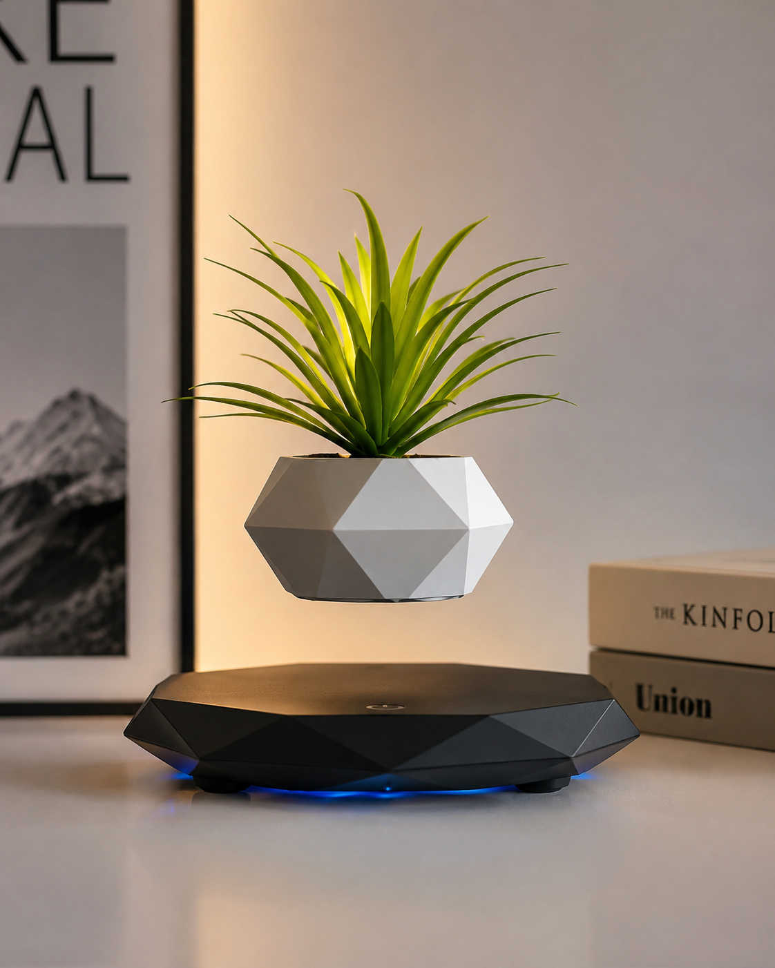 Magnetic Levitating Planter